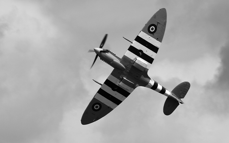 800 x 500 NSP (2).jpg